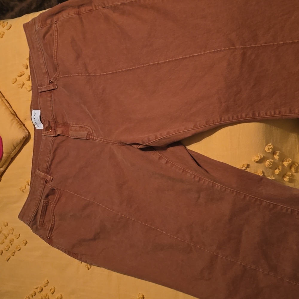 Rust Colored Pants - image 1